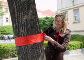 Červená pentle kolem stromu